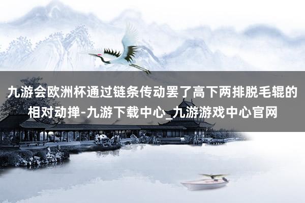 九游会欧洲杯通过链条传动罢了高下两排脱毛辊的相对动掸-九游下载中心_九游游戏中心官网