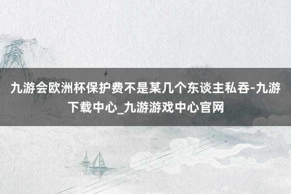 九游会欧洲杯保护费不是某几个东谈主私吞-九游下载中心_九游游戏中心官网